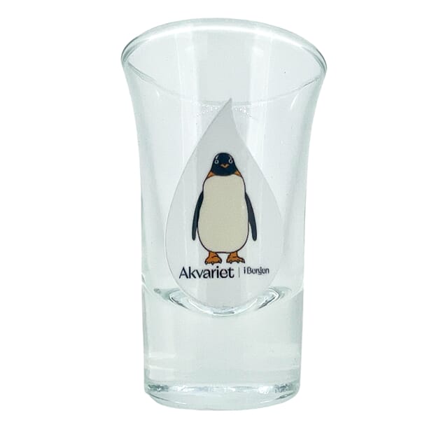 Snapsglass - Akvariet i Bergen.JPEG