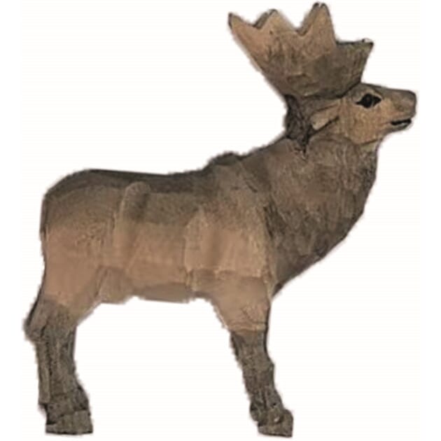0306022510 Trefigur Elg.jpg