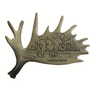 Elghorn magnet Tromsø