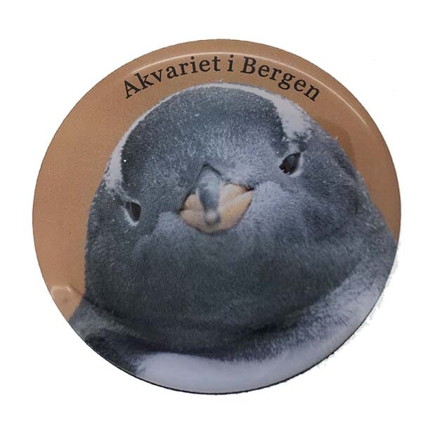 0102005841 MF Smilende pingvin - Akvariet.jpg