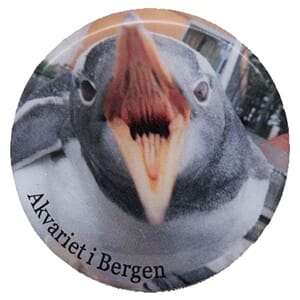 Magnet foto - Akvariet Pingvin åpen munn - spesialdes kunde