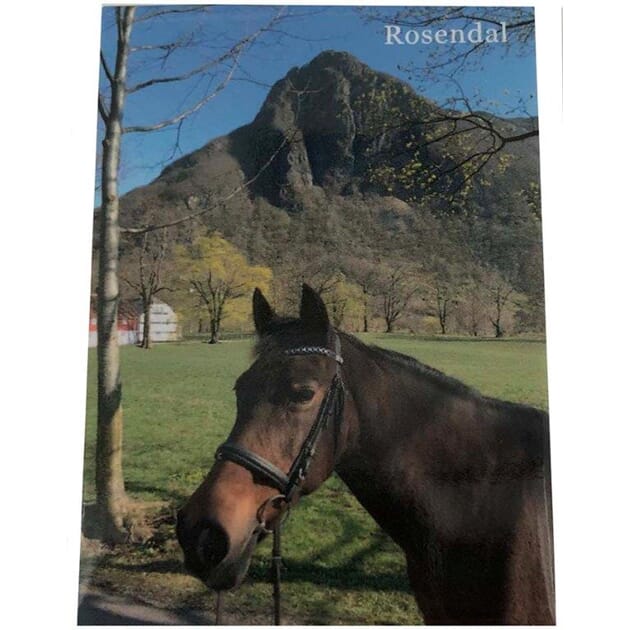 0102013495 MF Rosendal hest.jpg