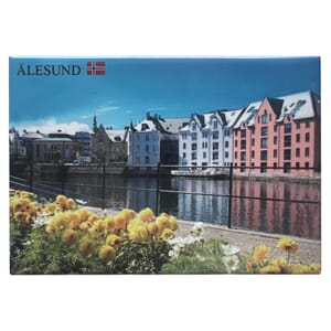 Fotomagnet - Ålesund Jugend