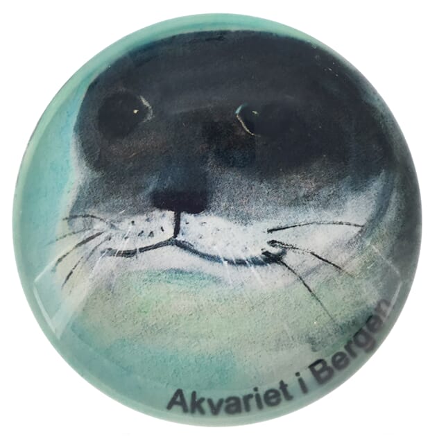 0104001799 MG Sel - Akvariet.jpg