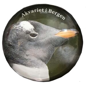 Magnet glass - Akvariet Pingvin profil - spesialdesign kunde