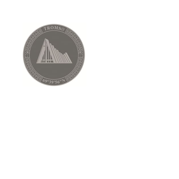 0103014720 Metallmagnet ishavskatedralen.jpg