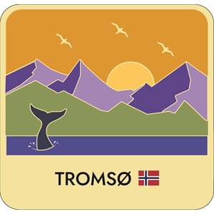 Metall magnet - Tromsø Hval