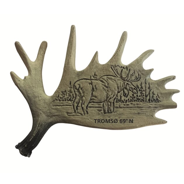 0109022541 Elghorn magnet Tromsø, poly.jpg