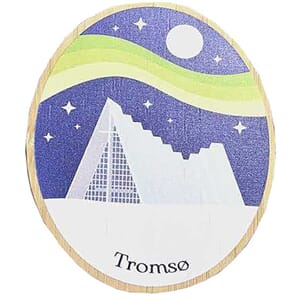 Tremagnet Ishavskatedralen