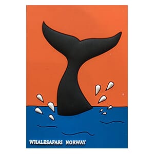PVC magnet - Hvalsafari Norway