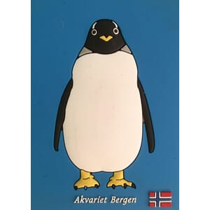 PVC magnet - Pingvin (blå bakgrunn)