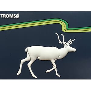 PVC Magnet- Tromsø rein med Nordlys