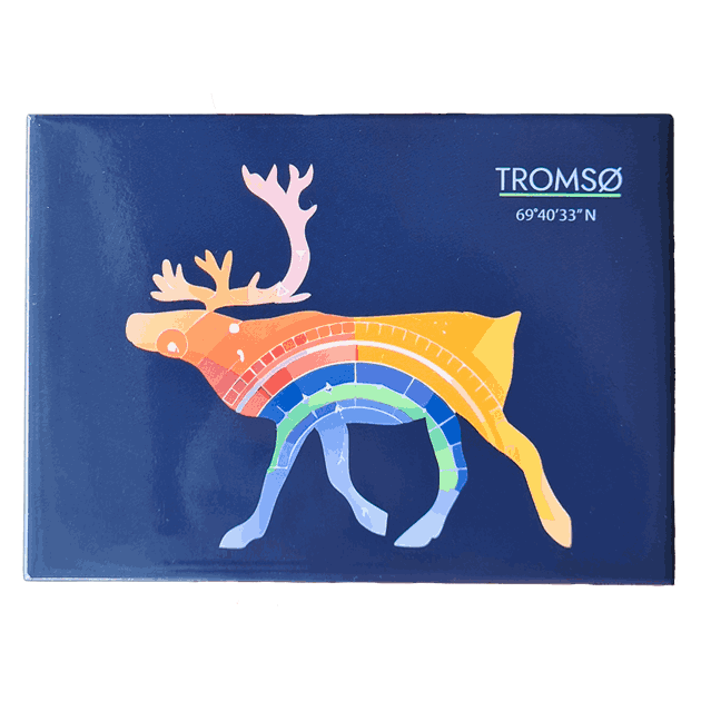 0102025108 Fotomagnet colorful rein TROMSØ.png