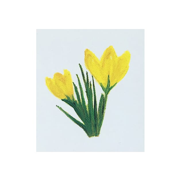 0804011095 Kort Krokus_1.jpg