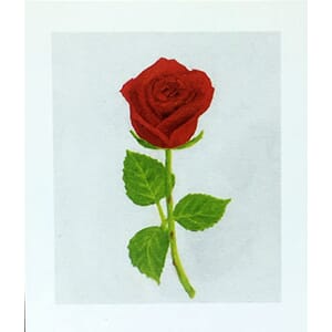 Kort - Rød rose