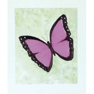 Kort - Sommerfugl rosa