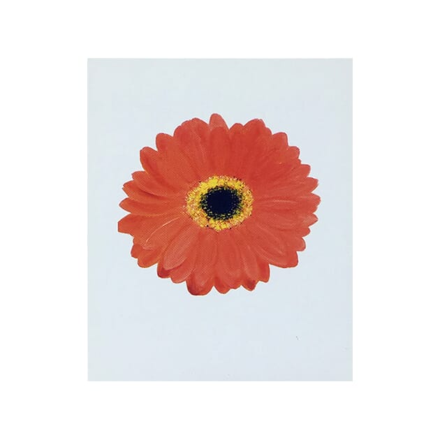106-varians Kort Gerbera orange_1.jpg