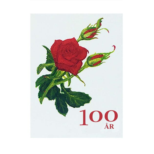 086-varians_Rel Jubileum 100 år.jpg
