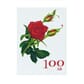 086-varians_Rel Jubileum 100 år.jpg