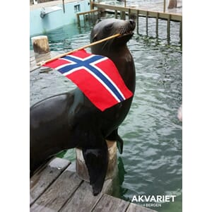Prospektkort - Akvariet, 1 Sjøløve m/flagg - for kunde