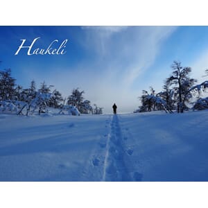 Prospektkort - Haukeli nr 1, Skeismyra - for kunde