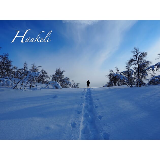 0801004844 PK Haukeli Skeismyra nr 1.jpg