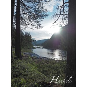 Prospektkort - Haukeli nr 2, Moshyl - for kunde