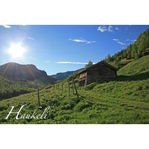 Prospektkort - Haukeli nr 4,  Gjøysløs - for kunde