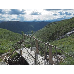 Prospektkort - Haukeli, nr 5, Arabygde - for kunde