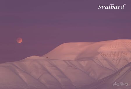 Prospektkort - Svalbard, nr 2, Stemning