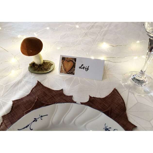 0806012726 BK Hjerter aprikos_1.jpg