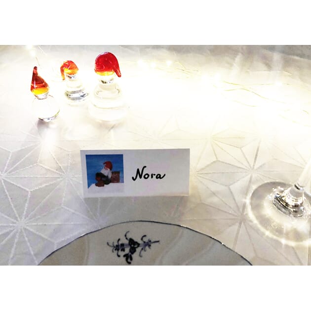 0806016618 BK Nisse på tak.jpg