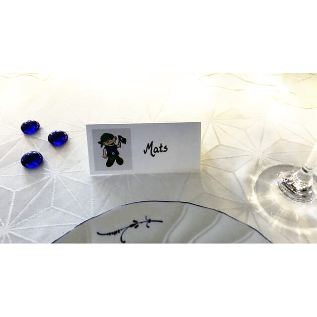 0806016663 BK Sjørøver.jpg