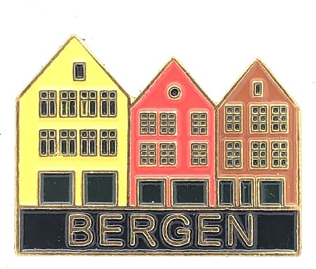 Pins - Bryggen