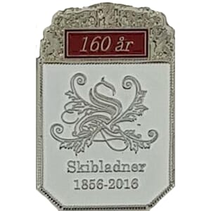 Pins - Skibladner 1 - spesialdesign for kunde