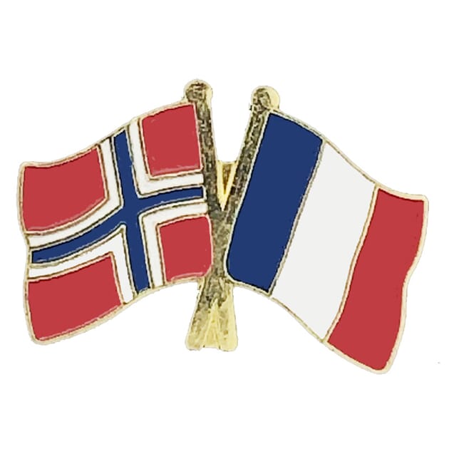 0206005759 Pins Norge + Frankrike.jpg