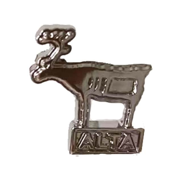 Pins Alta helleristning m txt.jpg