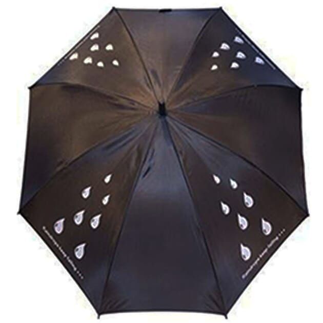 0601005988 Raindrops keep falling.jpg