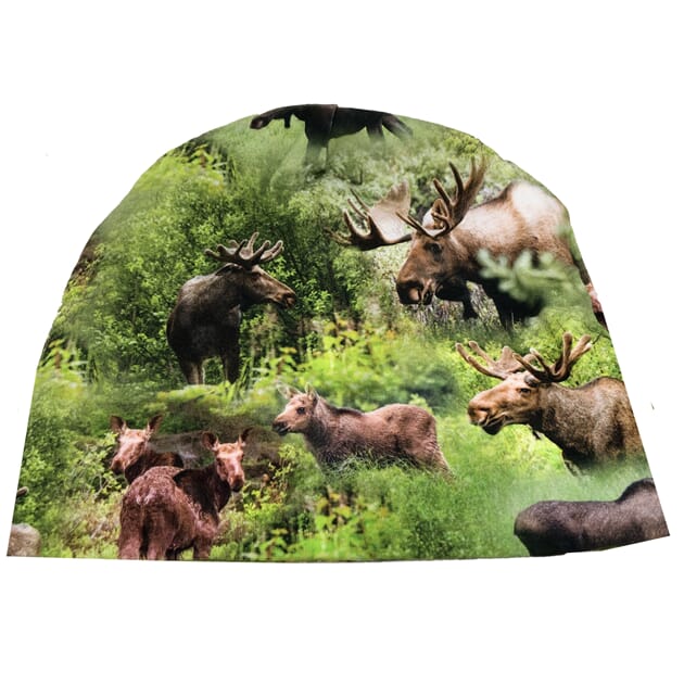 0503016052 Lue elg.jpg