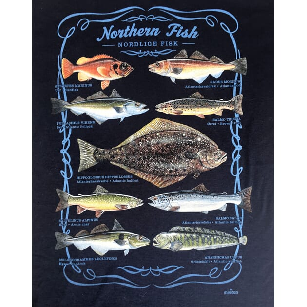015-varians_Rel Nærbilde Northern fish.jpg