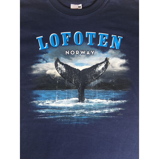 018-varians_Rel Nærbilde Lofoten.jpg